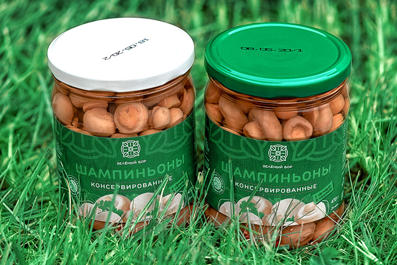 элегма шампиньоны