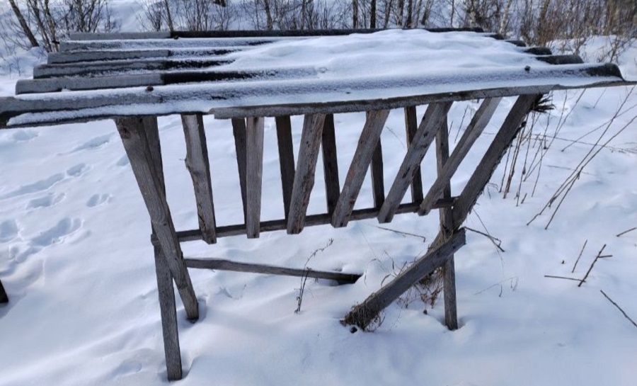 пустая кормушка.jpg