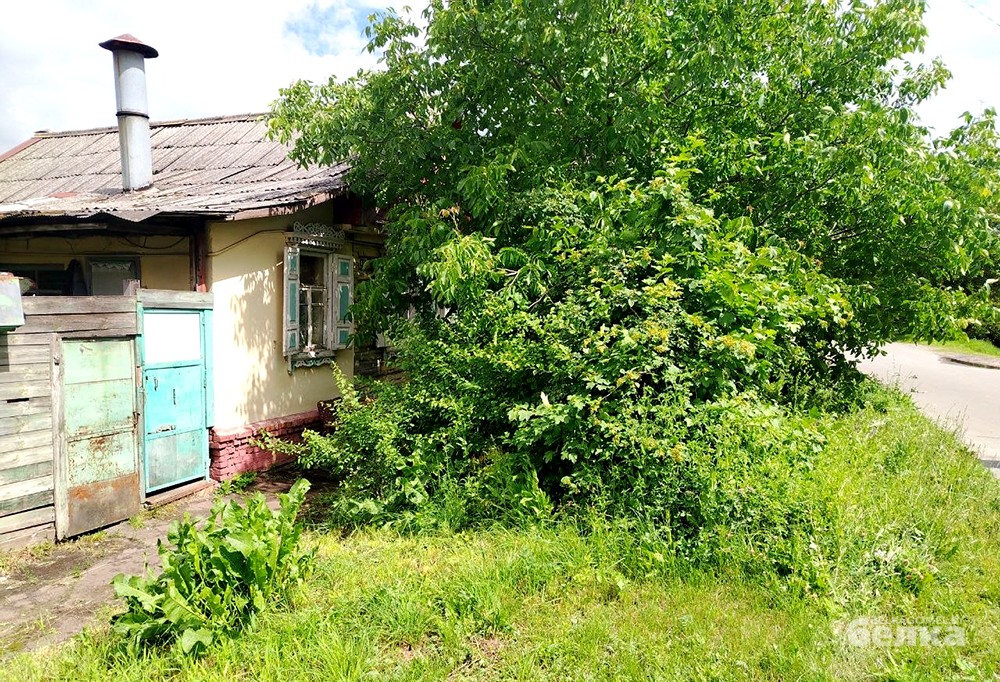 некошеная трава некошеная трава.jpg