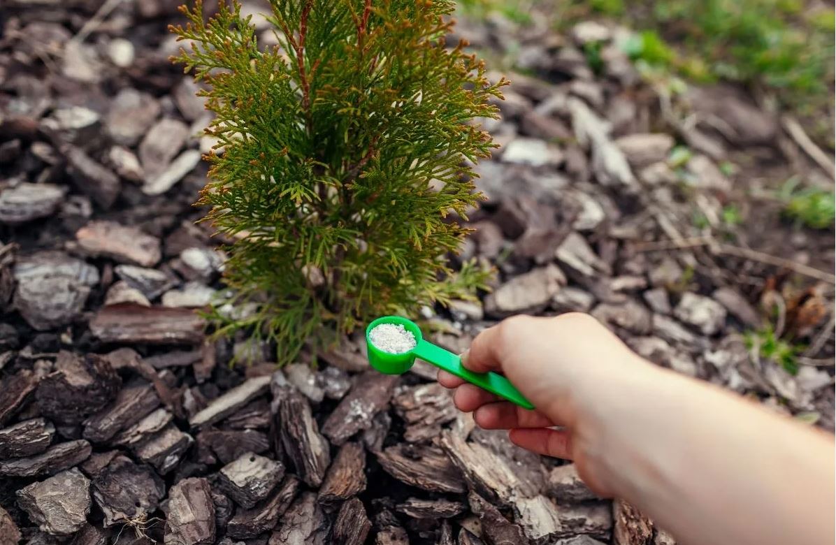 photo_2026-04-16_11-23-52 (2).jpg