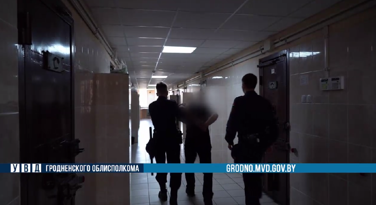 гродненец под стражей после убийства собаки
