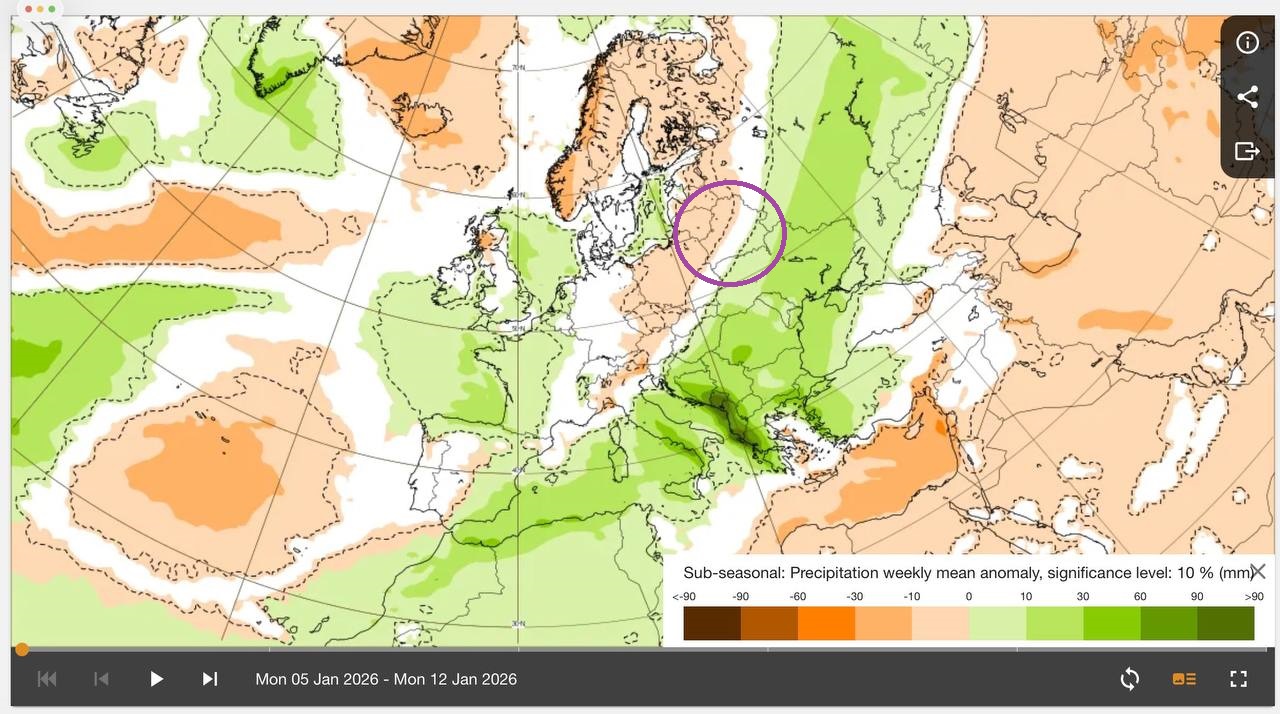 Аномалии по количеству осадков с 5 по 12 января