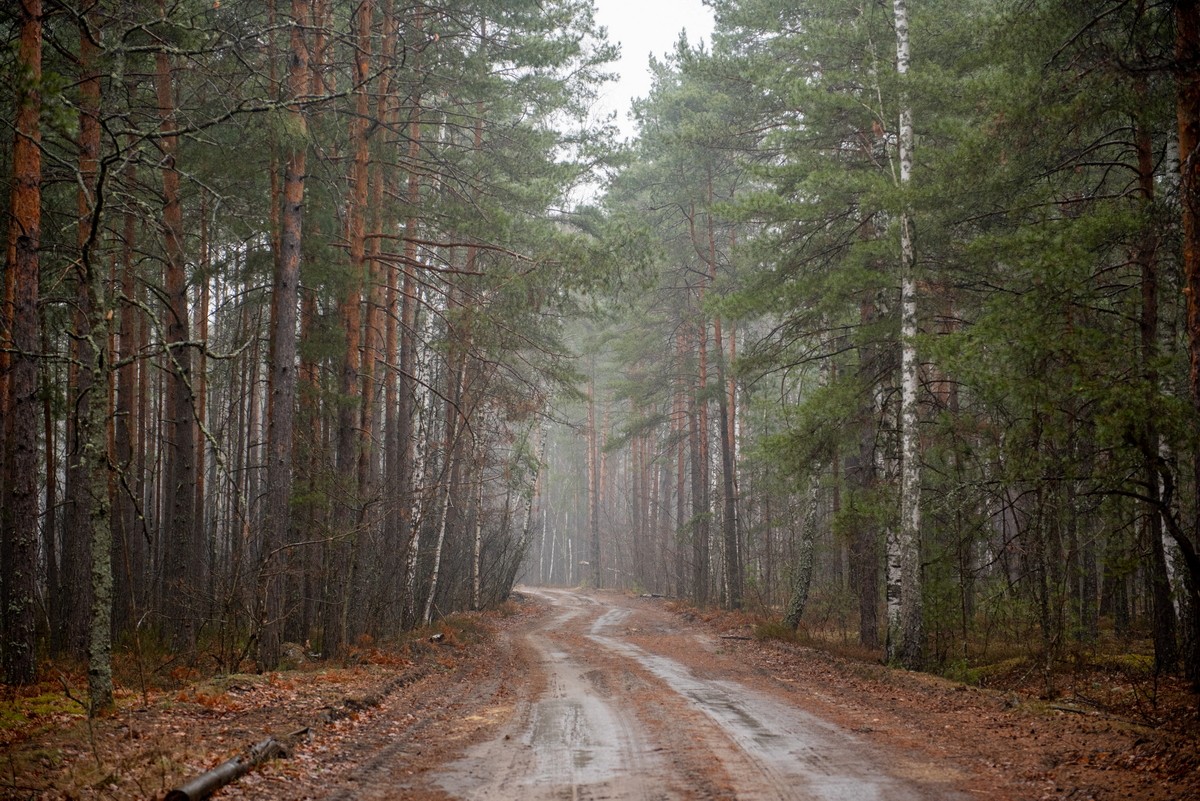 Парень построил дом из глины 3.jpg