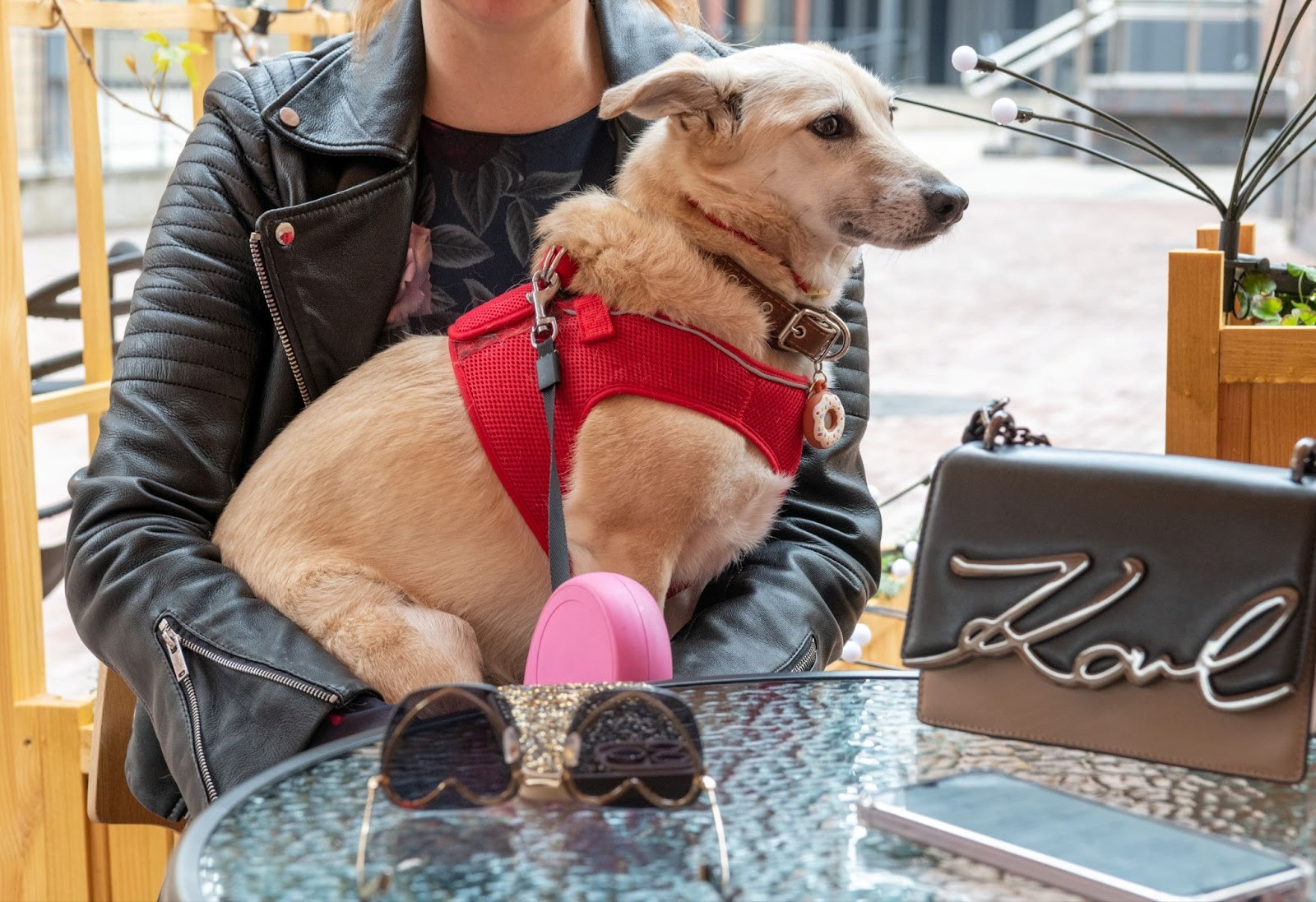 8-Художница и скульптор Анна Дыдышко и ее собака Мышка.jpg