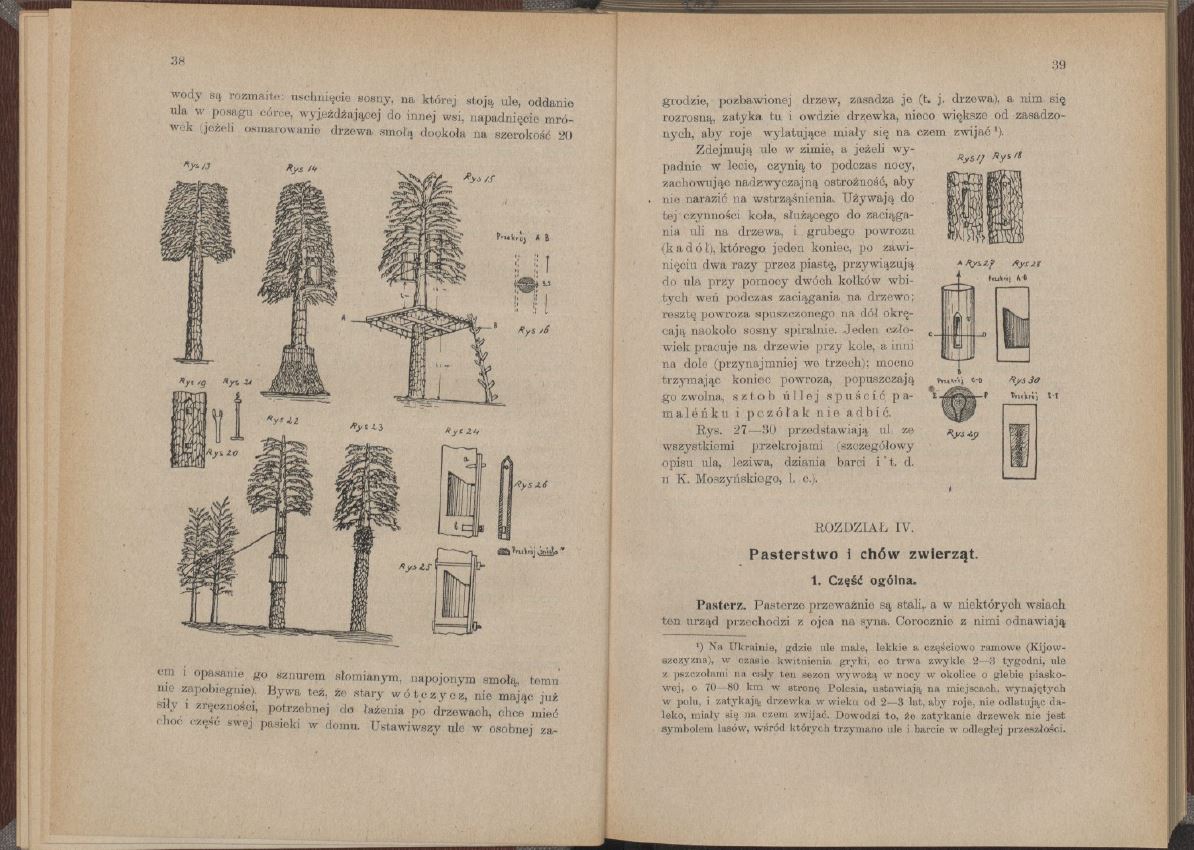 страницы книги