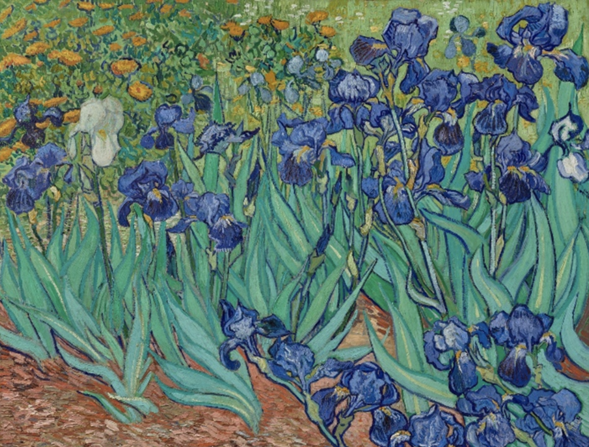 Винсент ван Гог Ирисы
