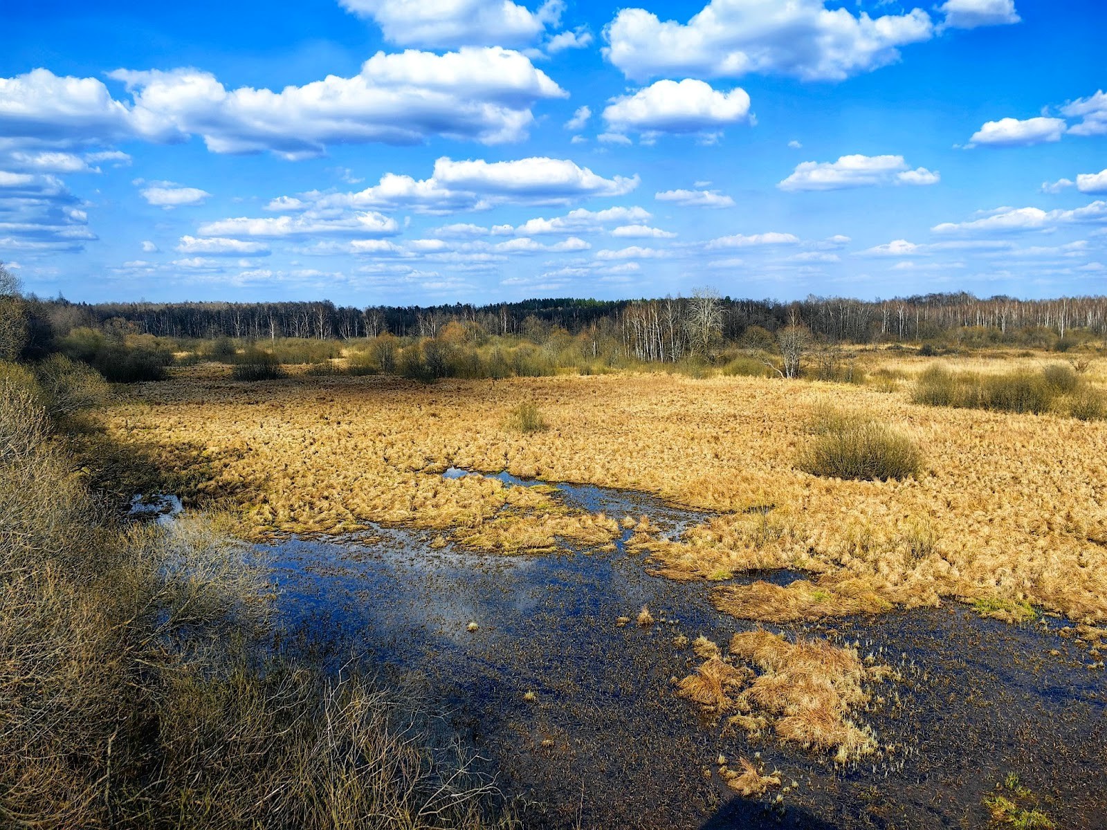 36-Пойменный луг в урочище Залазы.jpg