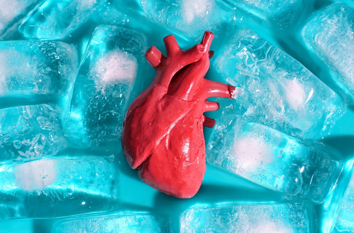 трансплантация