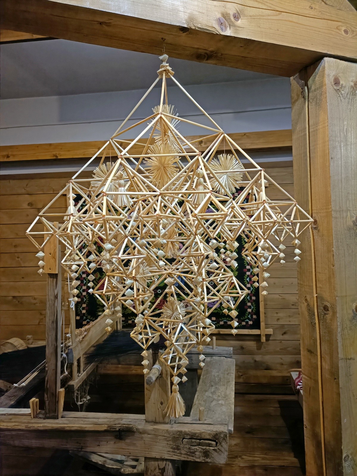 Соломенный паук.jpg