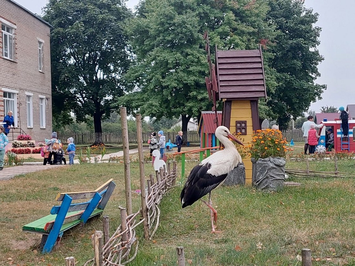 Дети приносят ему рыбу в ведёрке