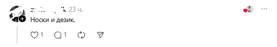 носки и дезик
