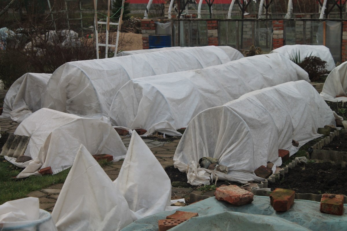 photo_2026-03-29_13-49-51 (2).jpg