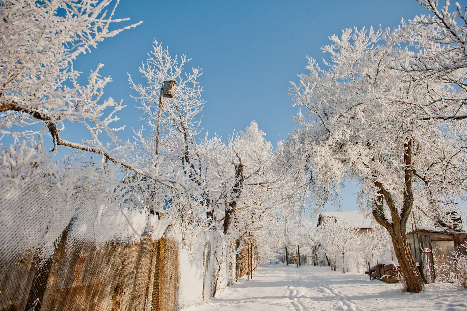 зима снежная-деревня