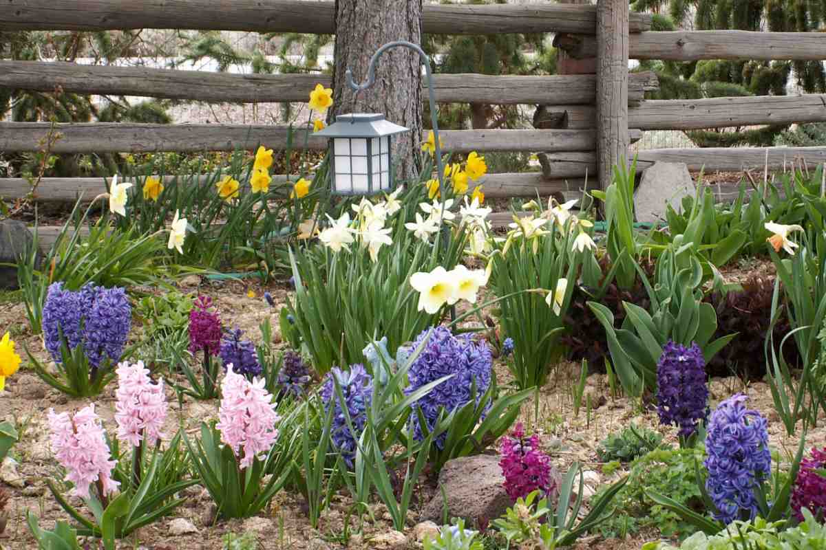 цветы цветы3.jpg