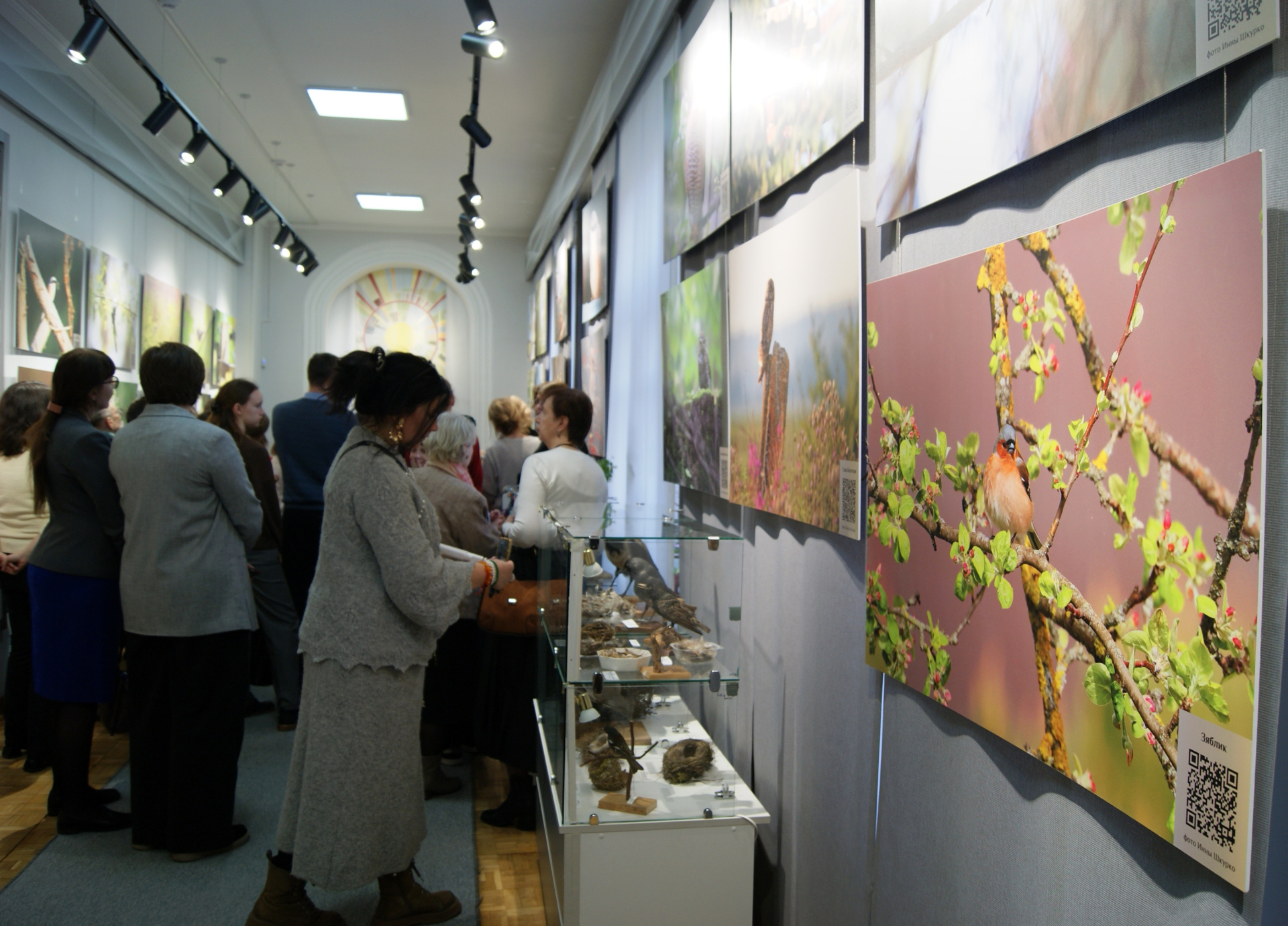 выстака 7.jpg