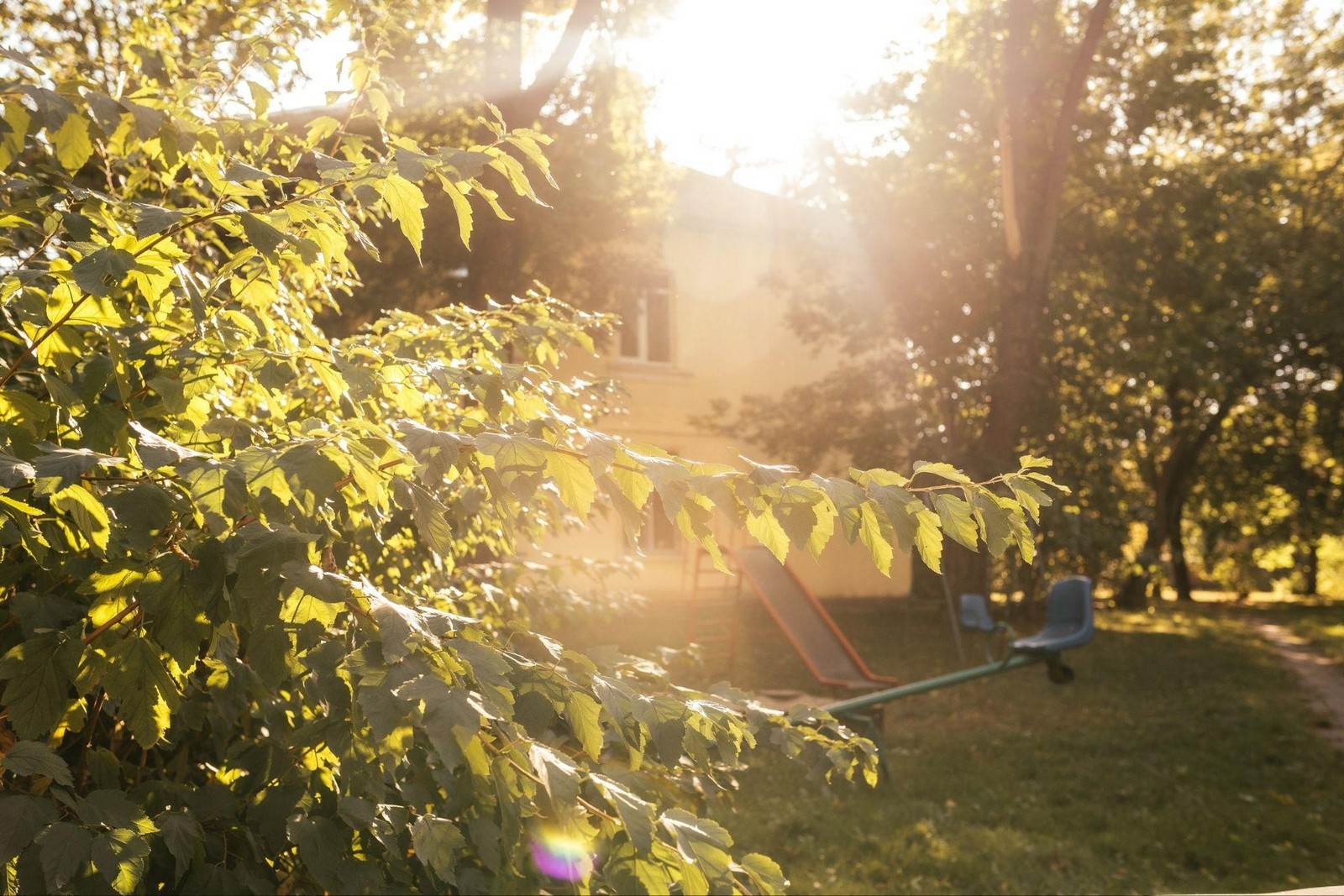 18-Минская Осмоловка 2025.jpg