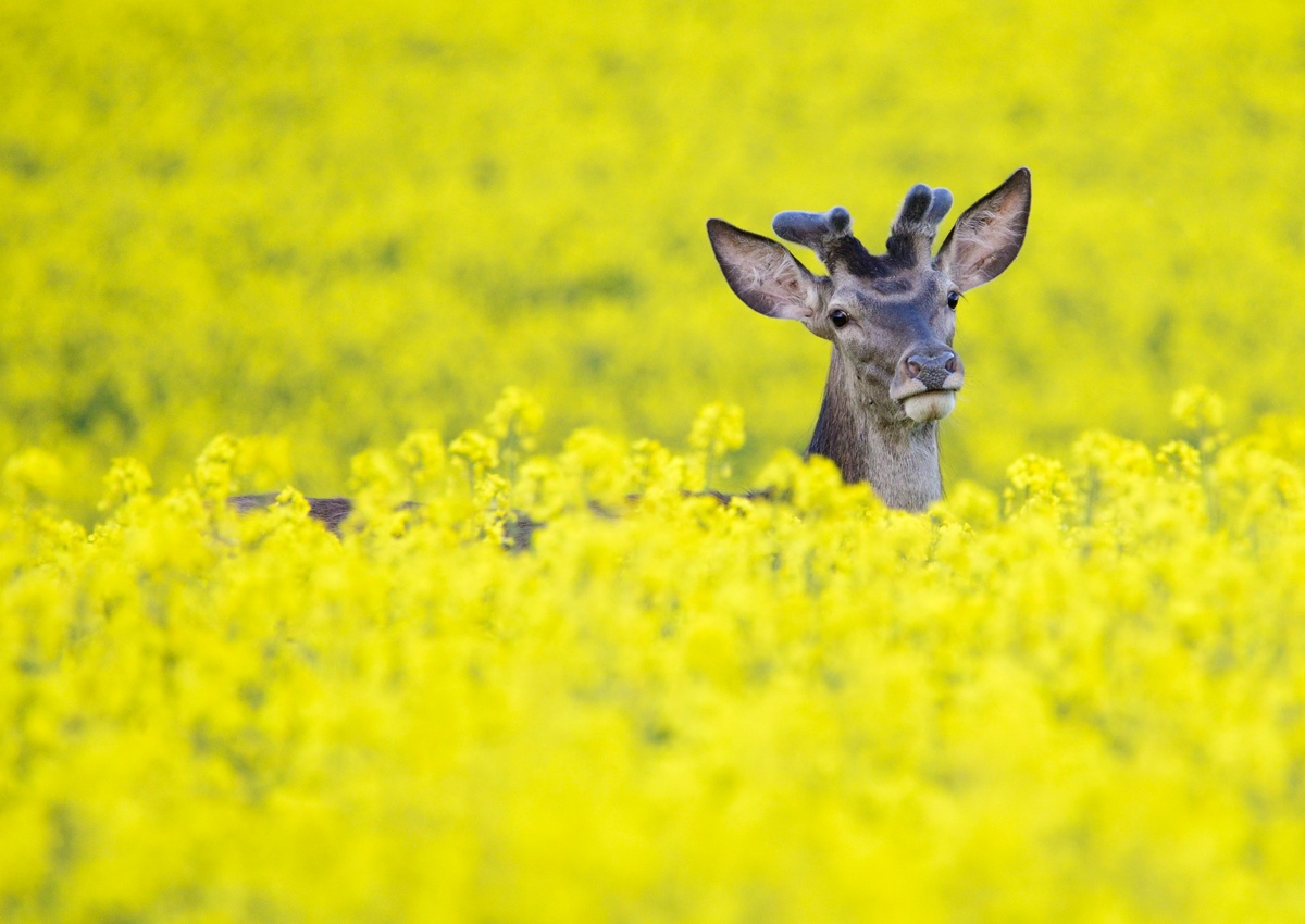 Встреча_Антоник Дмитрий (1).jpg