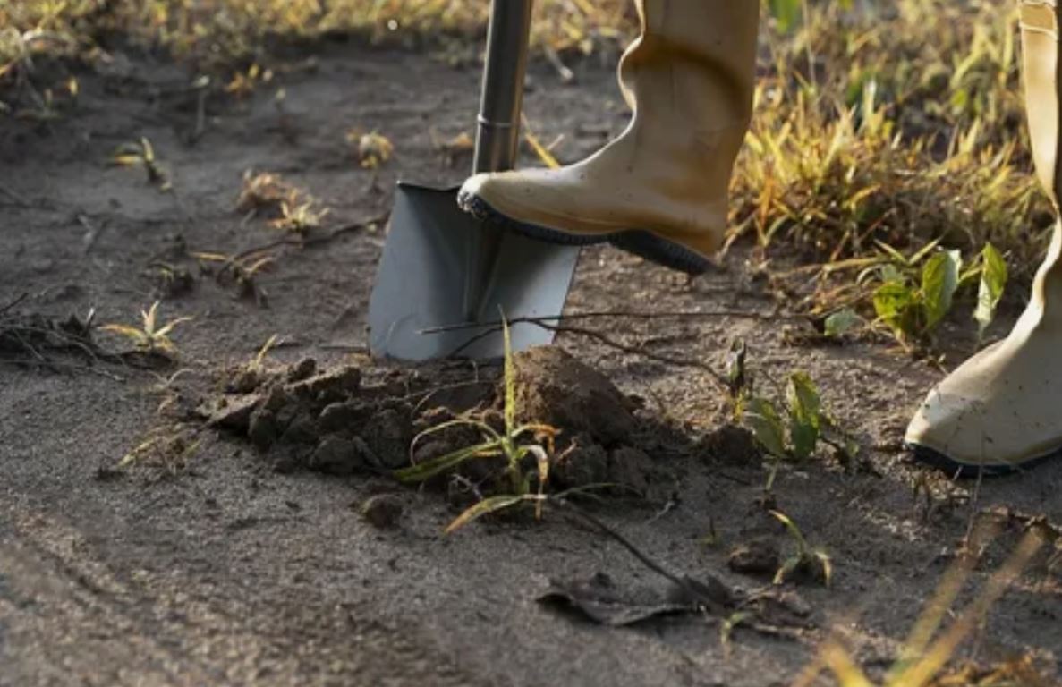 земля и лопата