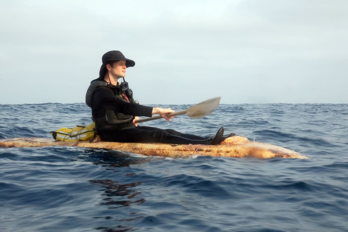 Лодка из грибов в океане Лодка из грибов в океане