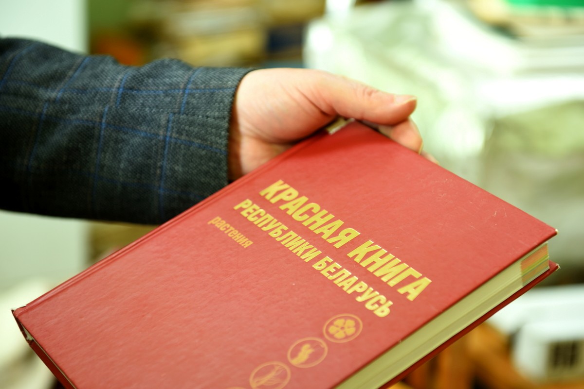 Гербарий Института экспериментальной ботаники 3.jpg