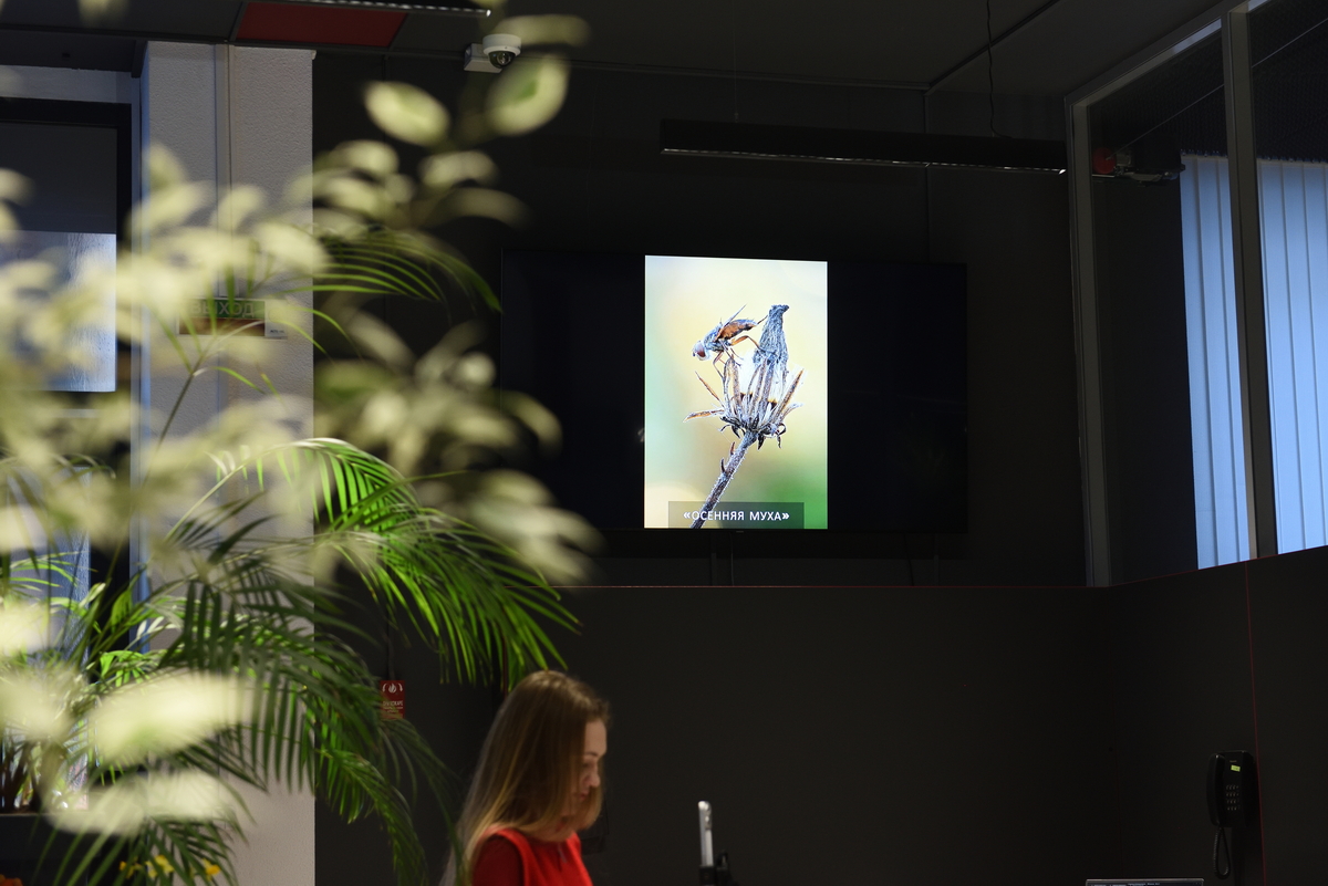 фотоконкурс