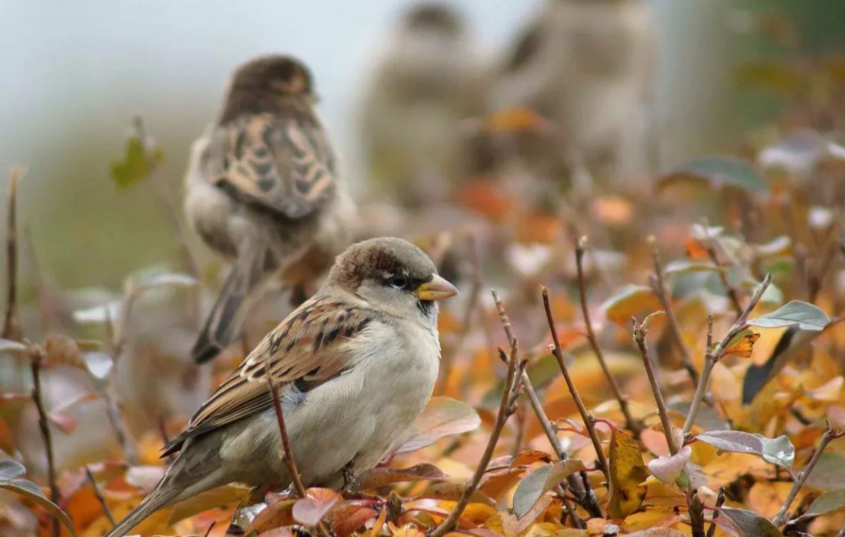 photo_2025-11-12_15-22-05 (2).jpg