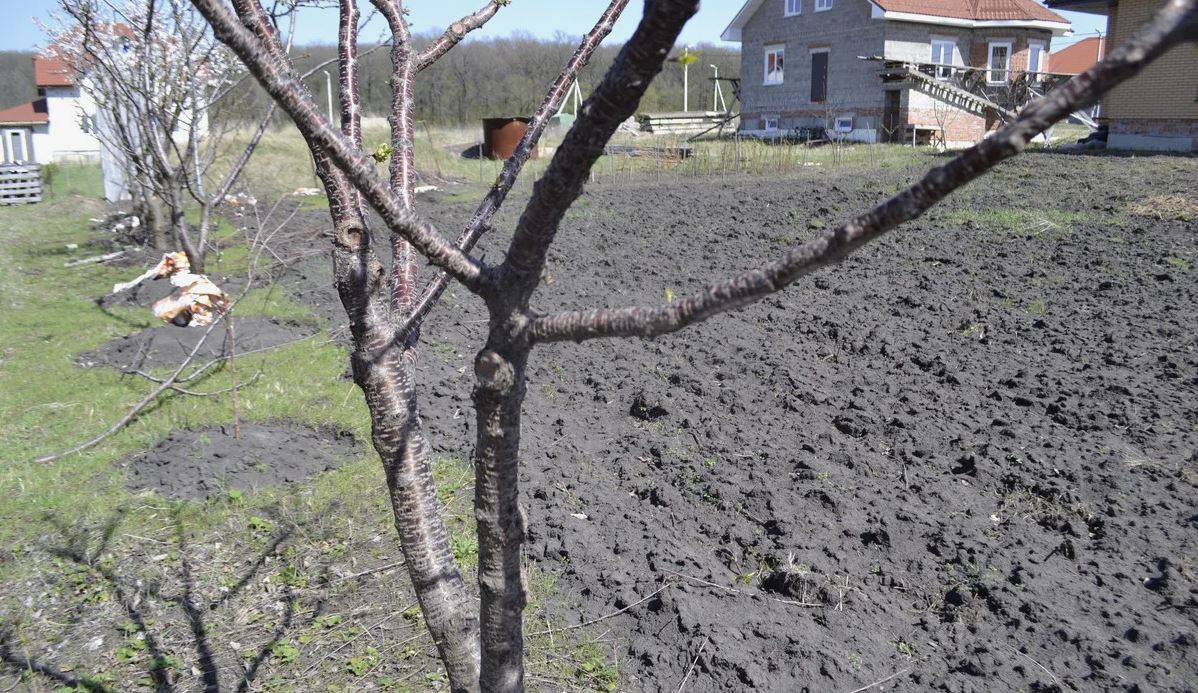 photo_2026-03-23_09-21-28 (3).jpg