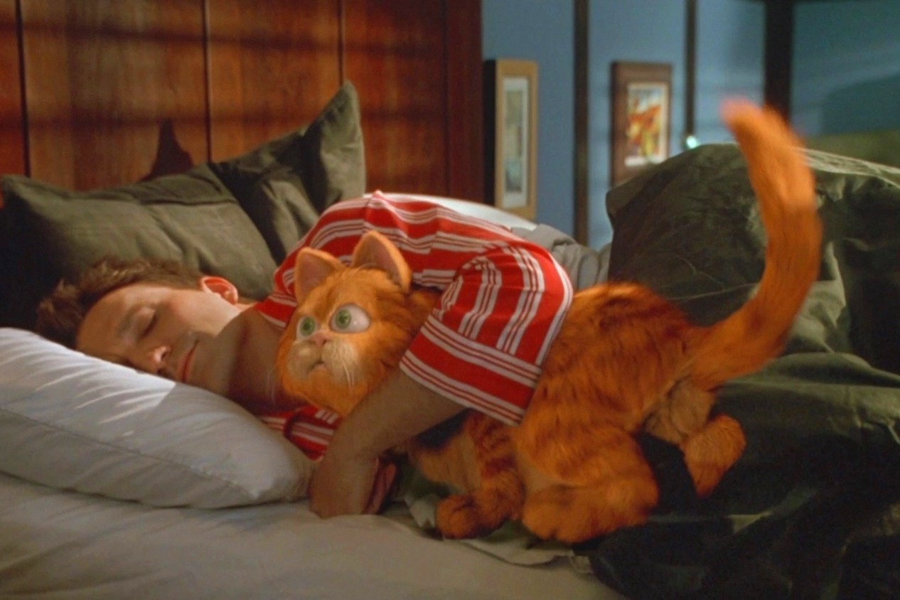 1-Как поза во сне влияет на здоровье кадр из фильма Гарфилд.jpg