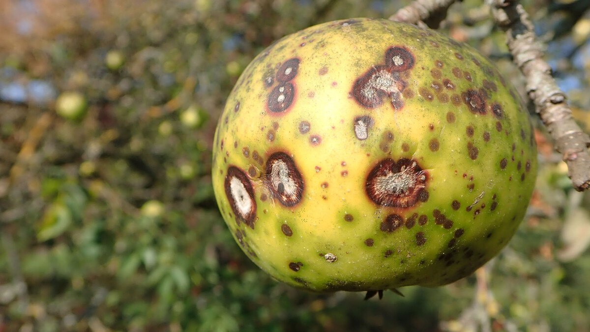 photo_2025-10-29_15-53-06 (3).jpg