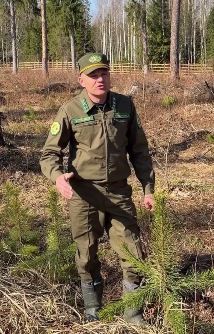 лесничий.png