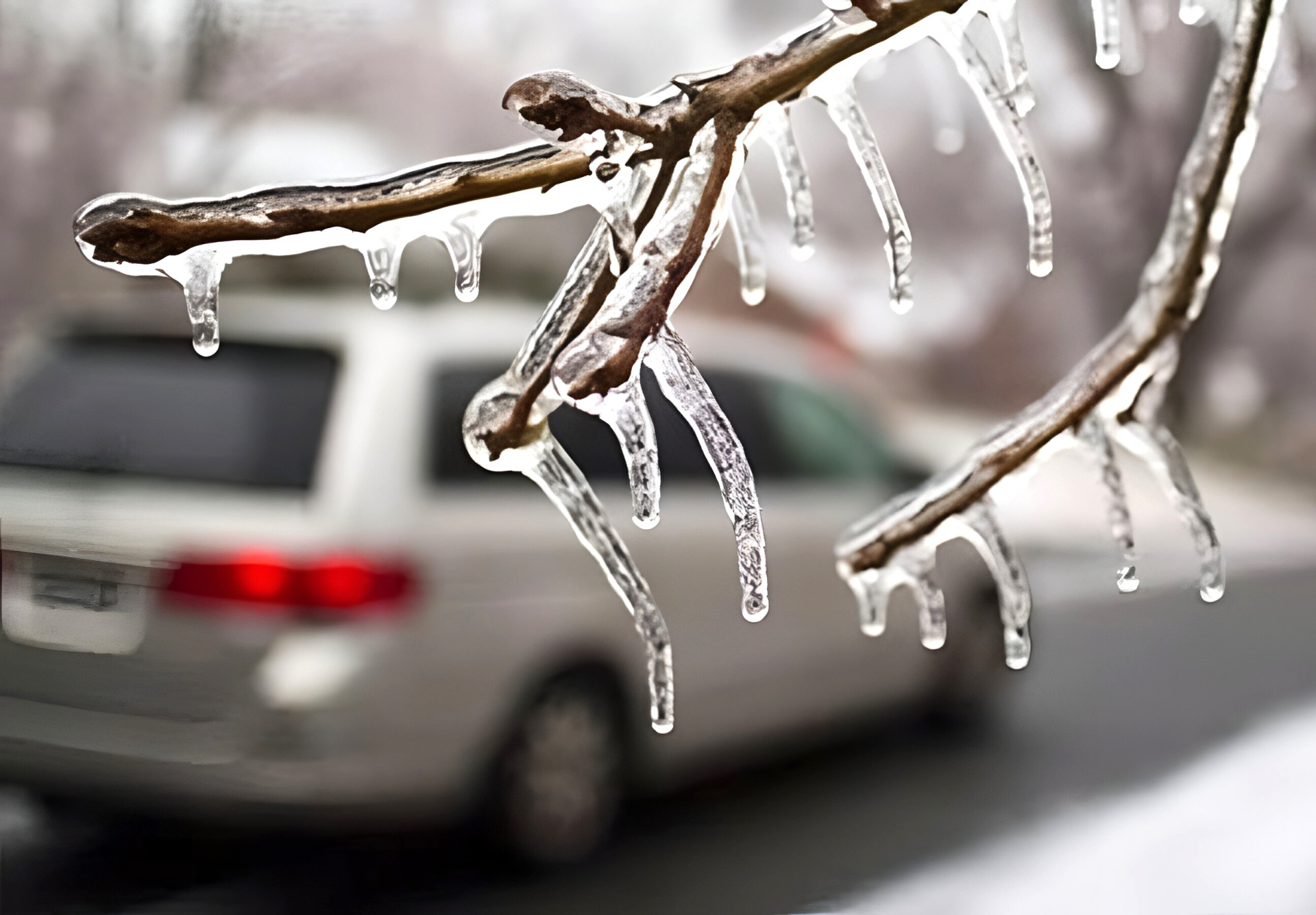 1281_n2151660_big (1).jpg