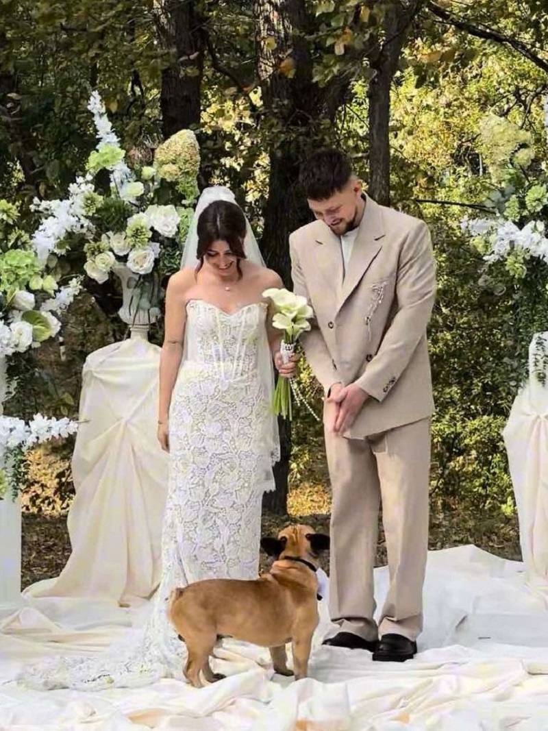 бульдог вынес кольца бельдог вынес кольца.jpg