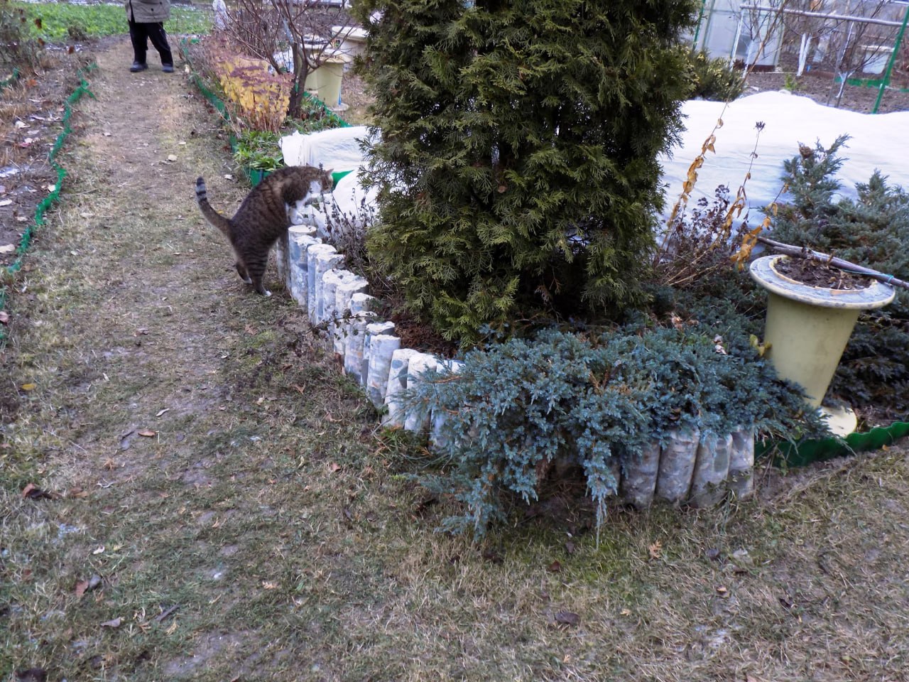 ктик в саду.jpg