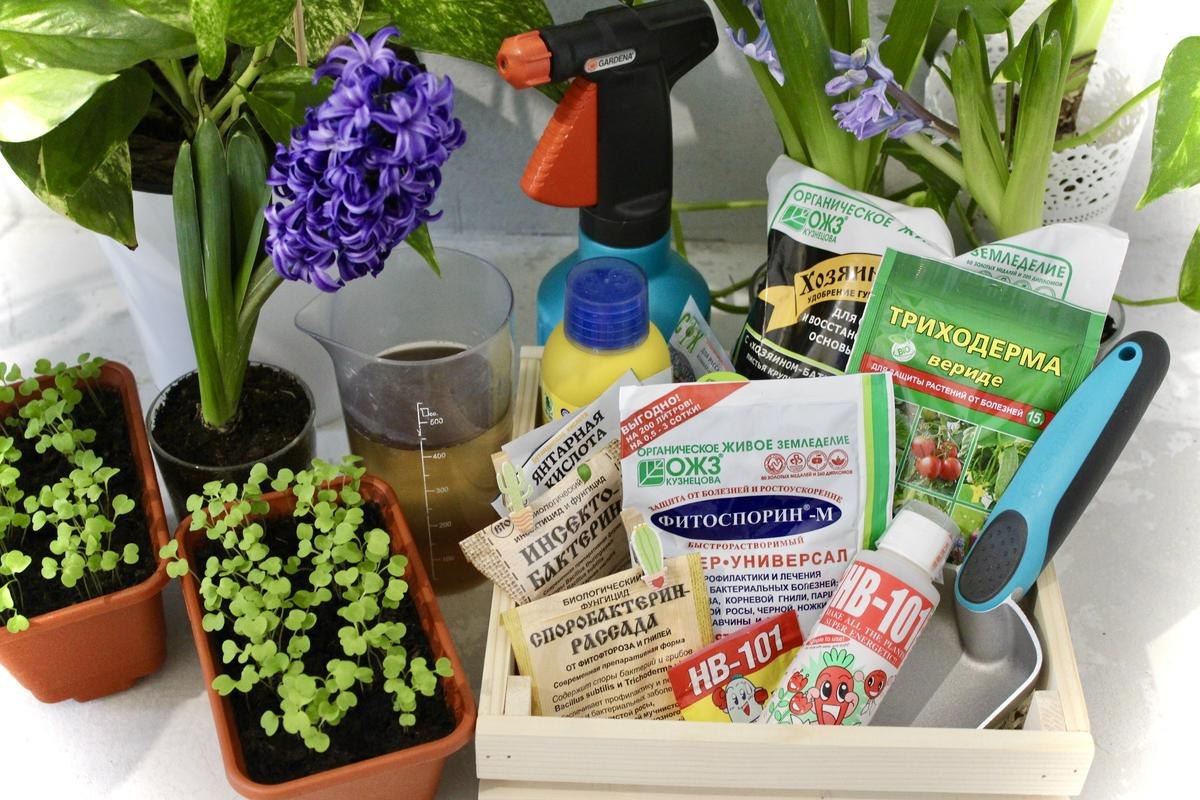 photo_2026-04-25_15-05-49 (2).jpg