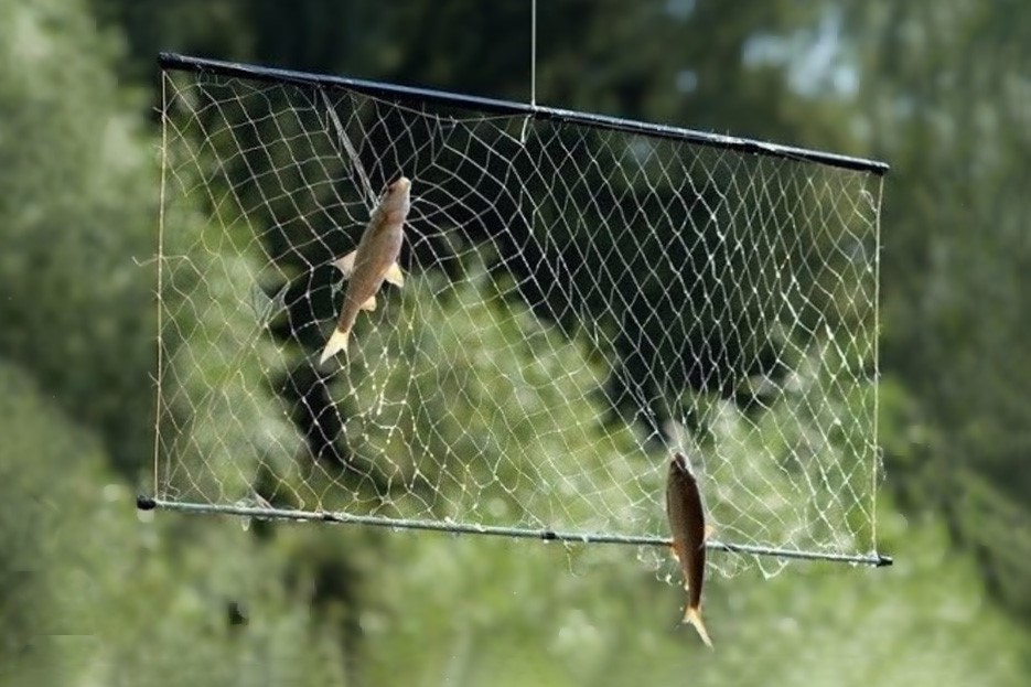 экран-телевизор