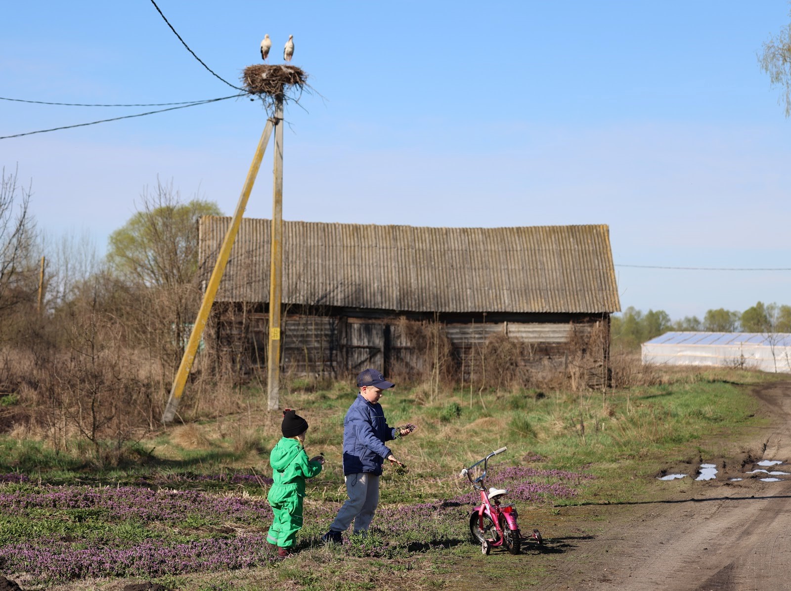 Хутка прыйдуць у нашы хаты і будуць з намі спаць”. Побывали в деревне, где  больше всего аистов в Беларуси | СмартПресс: Среда обитания