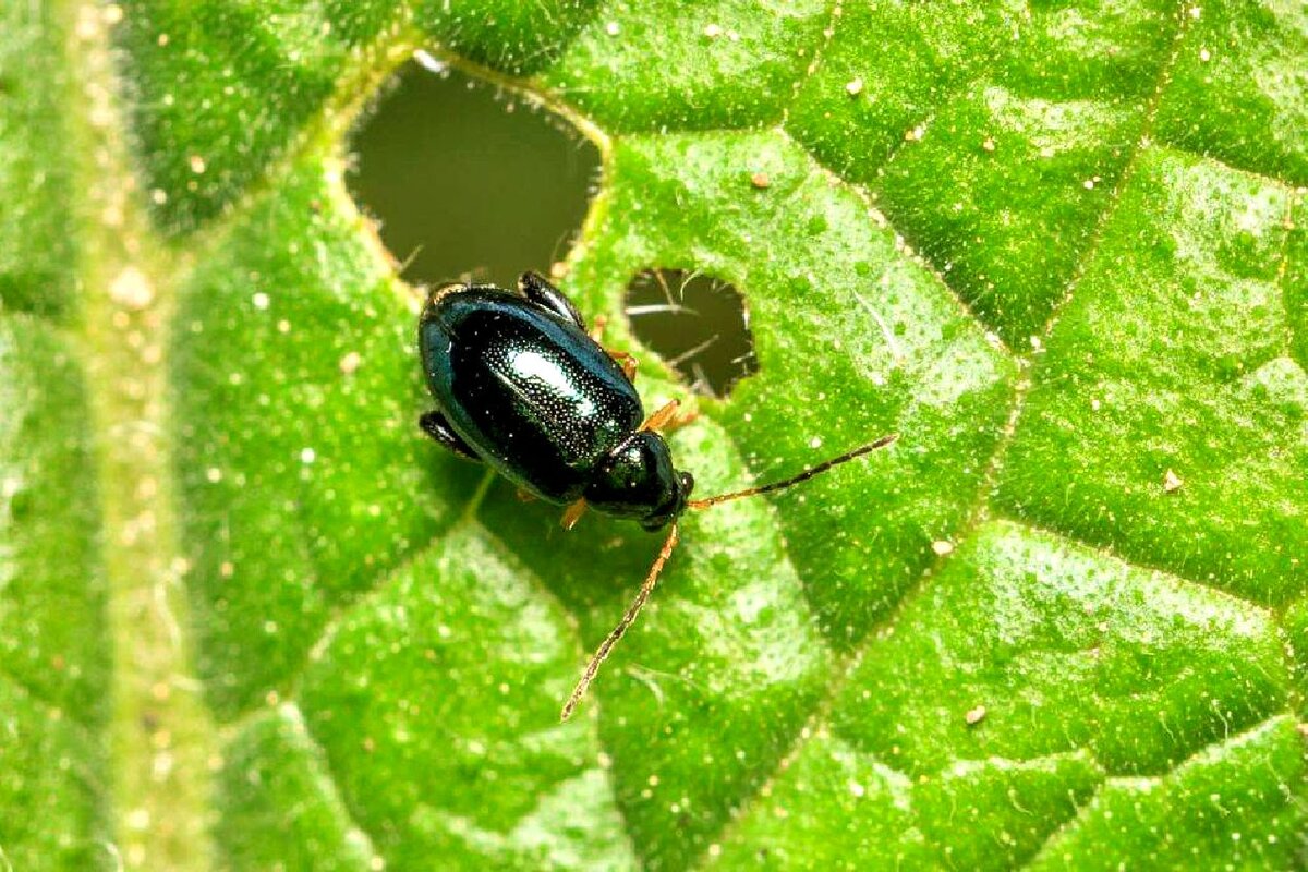 photo_2026-04-26_11-27-42 (2).jpg