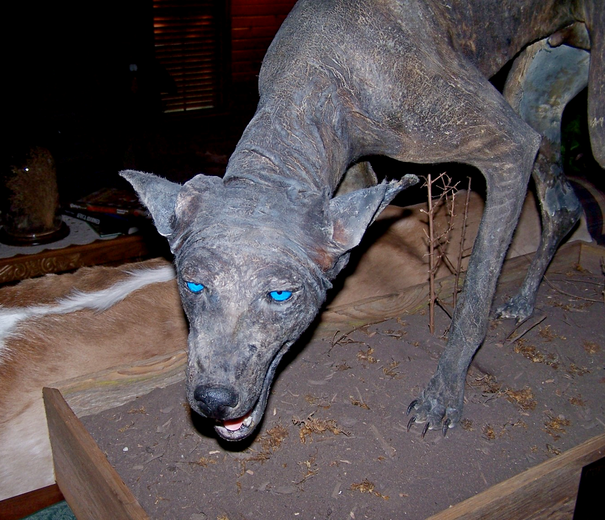 1-Муляж чупакабры.png