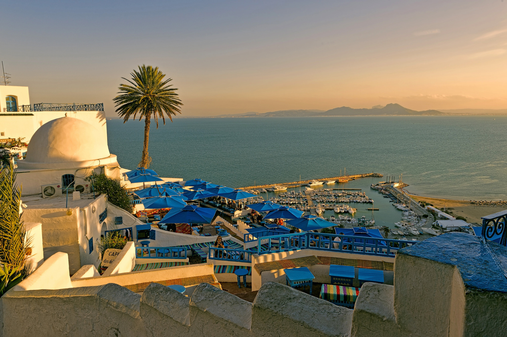 Тунис из Минска