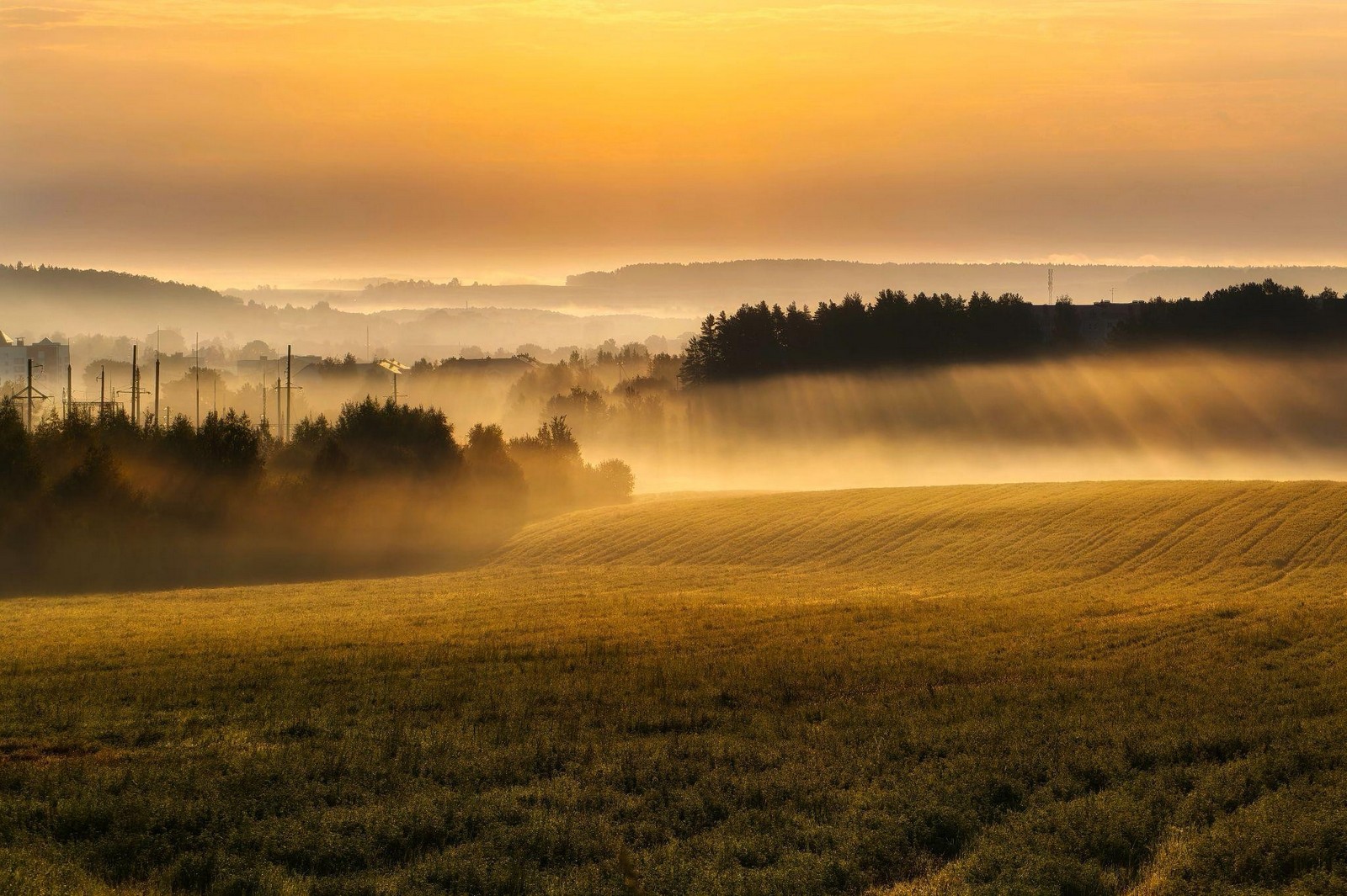 2-Рассвет над полем.jpg