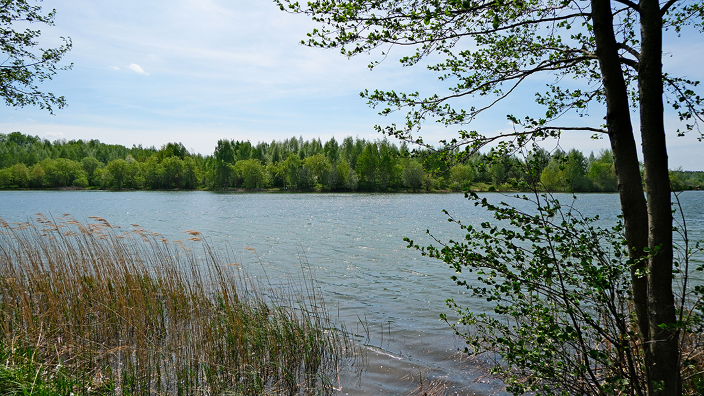 Цнянское водохранилище