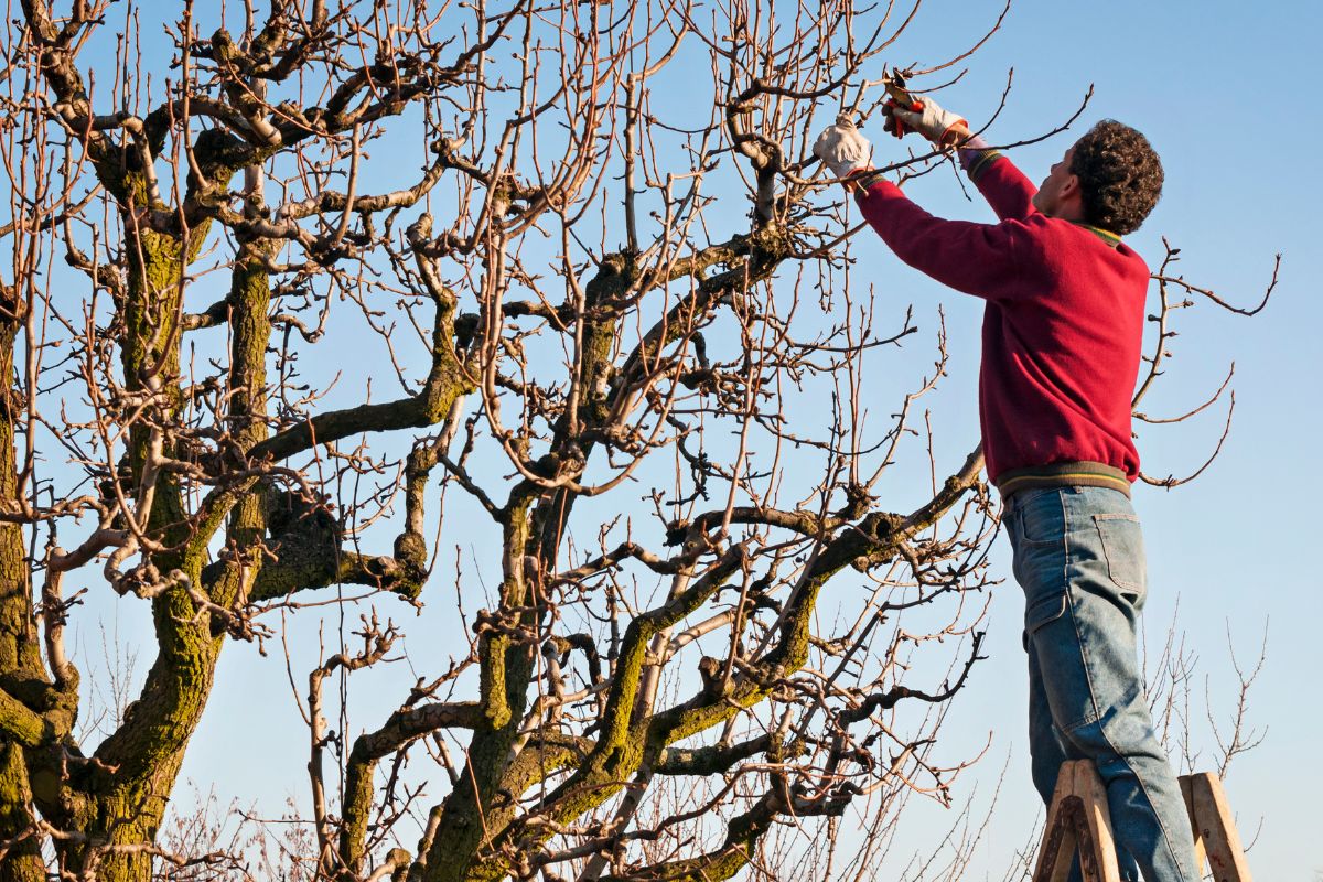 photo_2026-03-24_17-04-00 (5).jpg