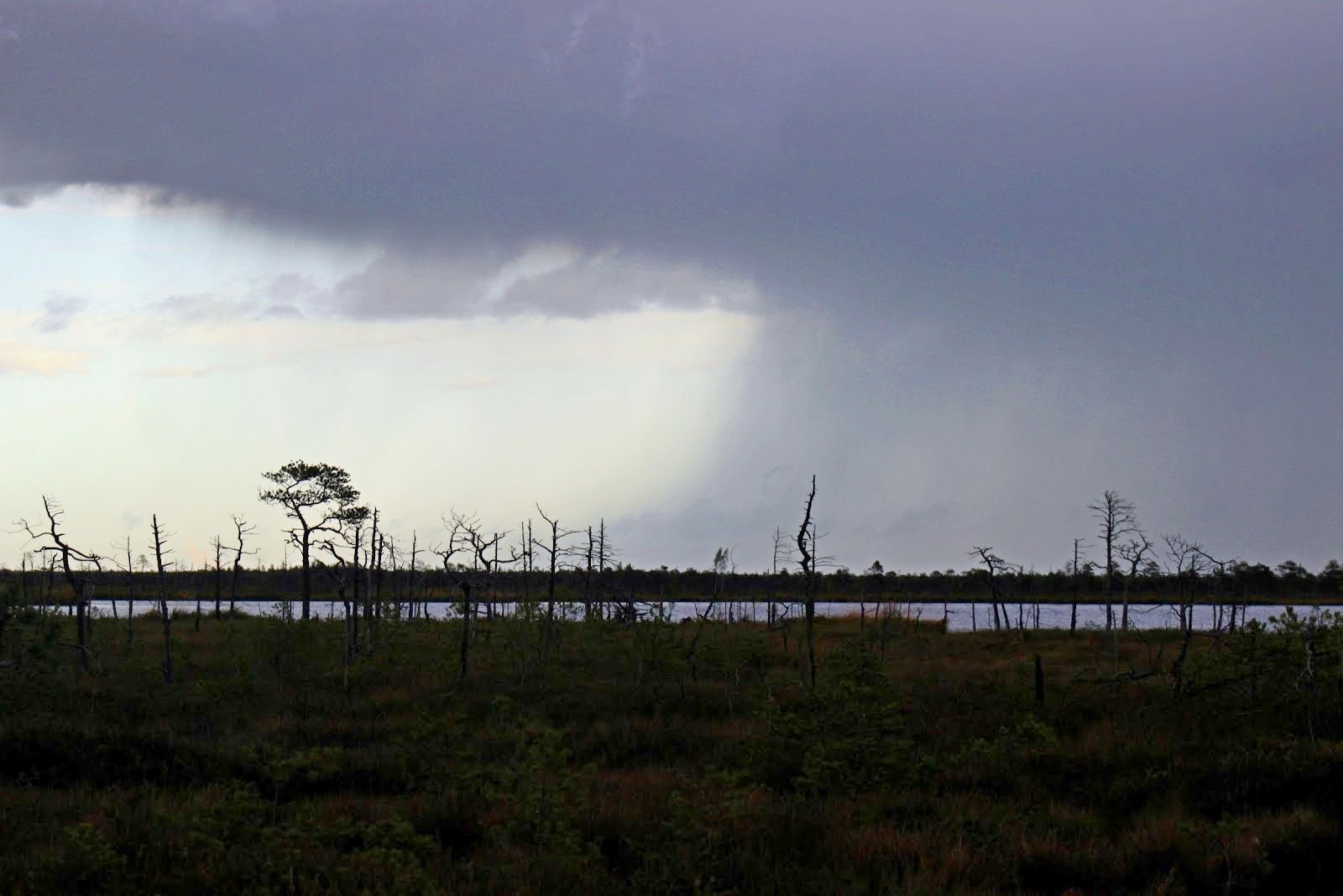 10-Ненастье над Ельней.jpg