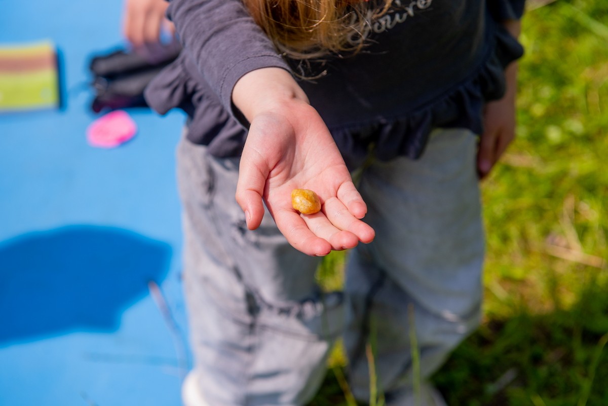 14-Камешек весом с желтоголового королька.jpg