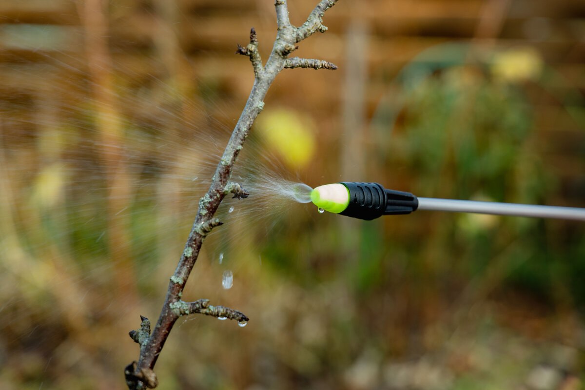 обработка сада 4.jpg