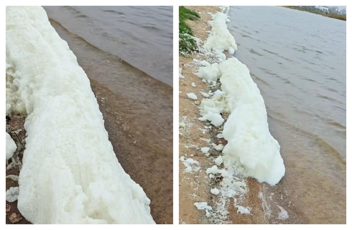 пена на берегу Смолевичского водохранилища