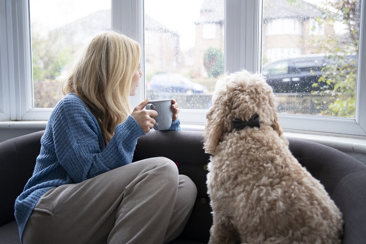 женщина и собака у окна женщина и собака у окна.jpg