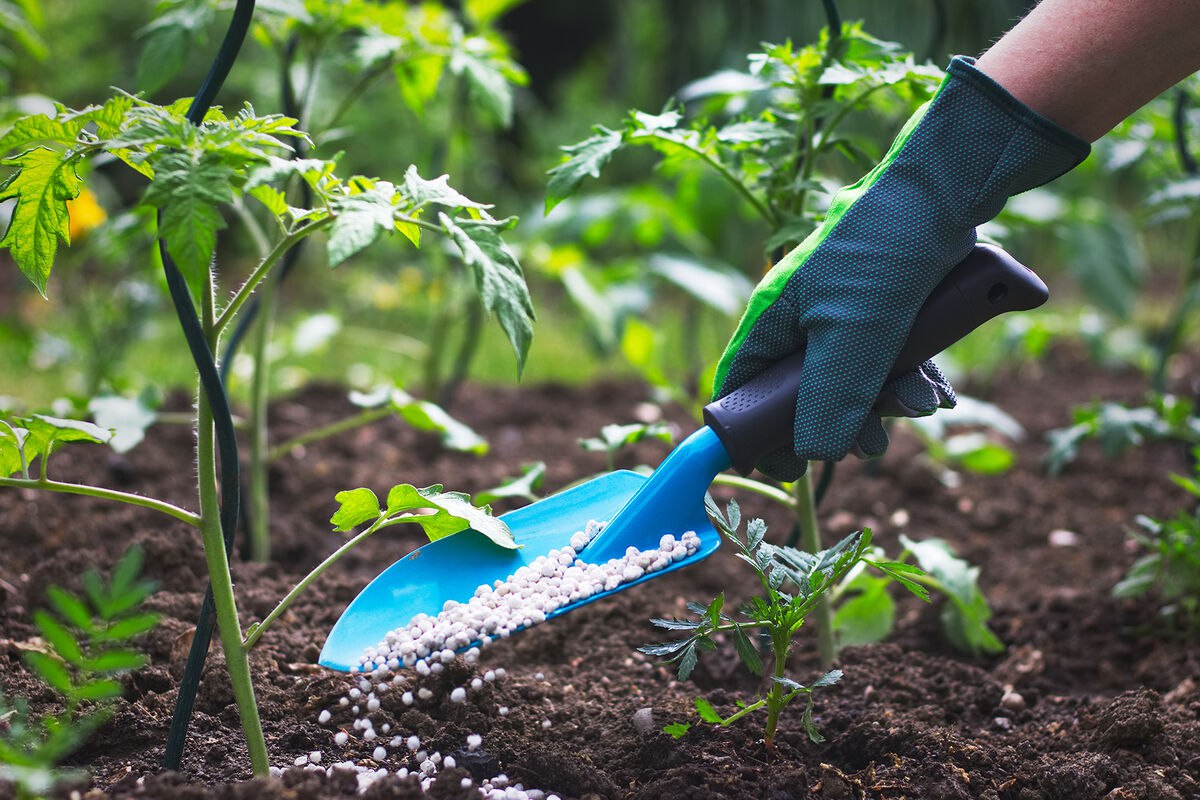 Органическое земледелие Органическое земледелие 2.jpg