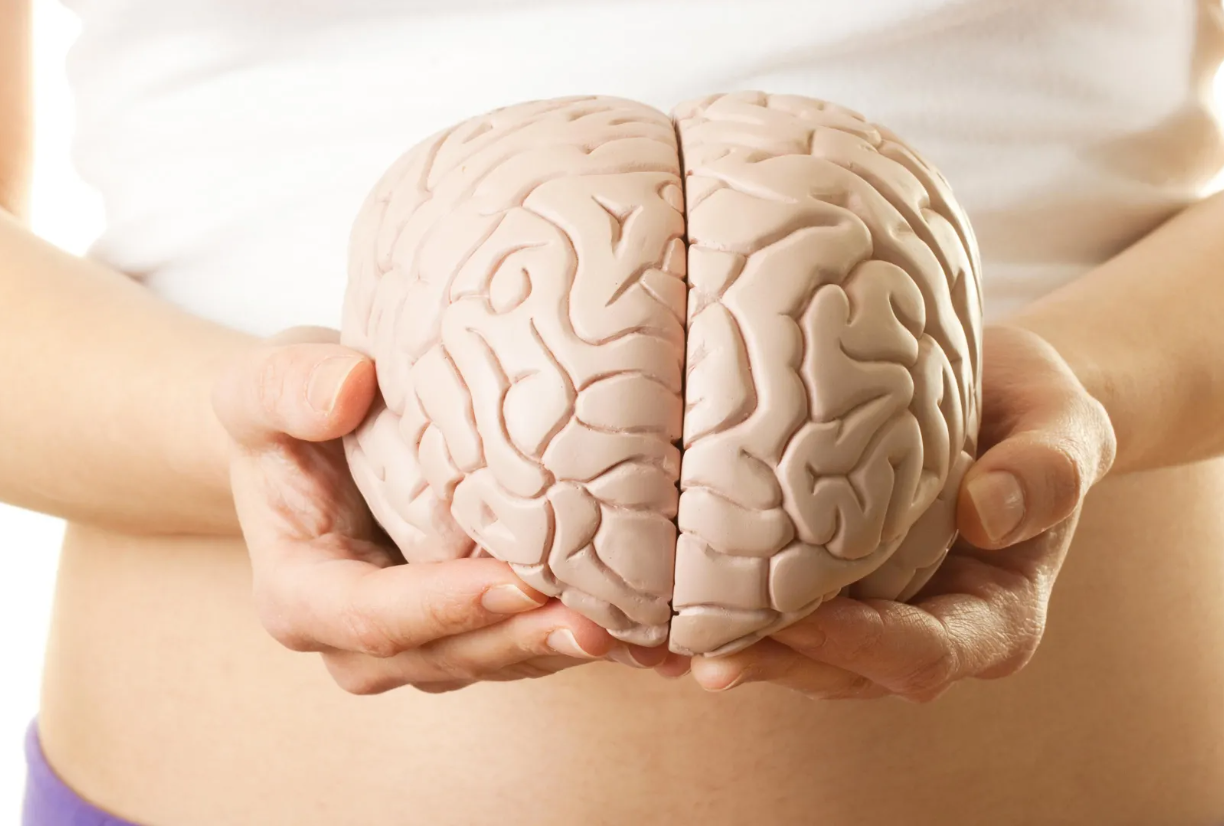 мозговая активность