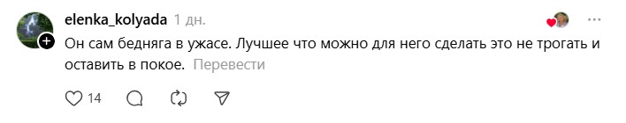 уж в ужасе.jpg